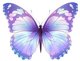 butterfly - web design icon